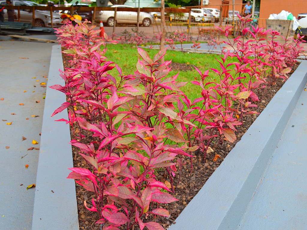 Maternidade e hospital HMML